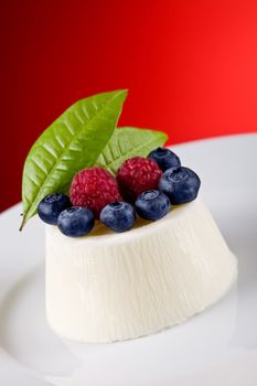 Panna cotta with Berries on red background