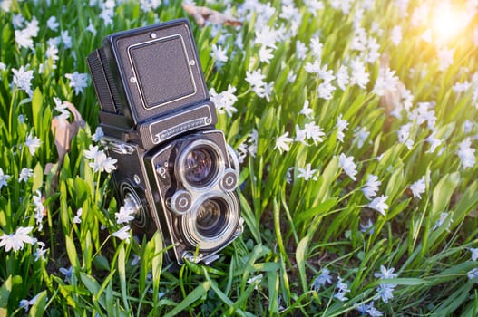 Beautiful twin lens camera surrounded by spring flowers