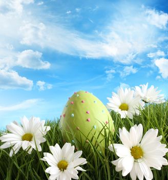 Decorated easter egg in the grass with daisies