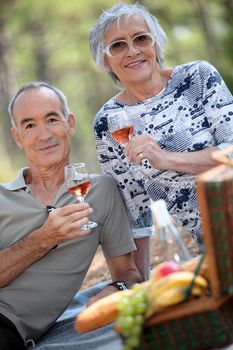 Older couple drinking rose wine with a picnic