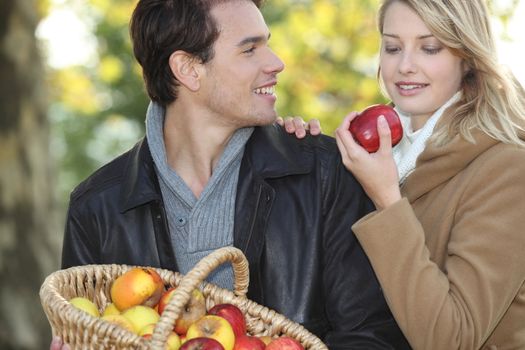 couple gathering apples