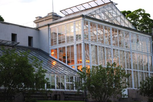Greenhouse at Oslo Botanical Garden