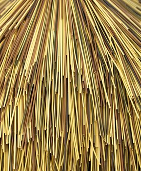 Multi color bamboo cane 