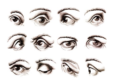 Human eye in various positions