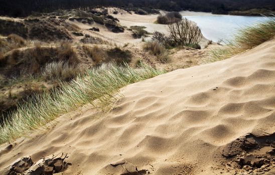 sandy dune