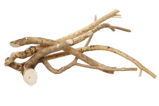 Fresh,whole roots horseradish on white background