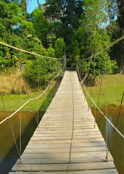 Bridge to the jungle,Khao Yai national park in Thailand 