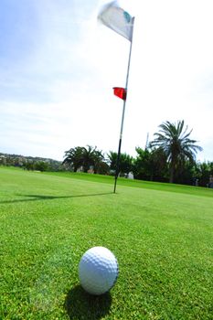 golf-ball on course