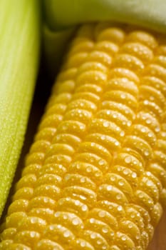 macro of fresh maize corns