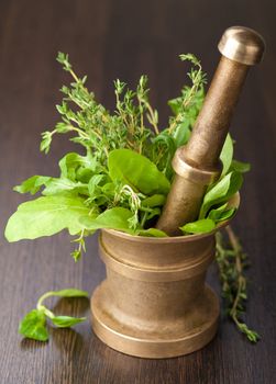 copper mortar with herbs 