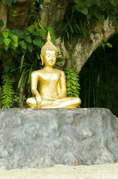 Buddha statue under green tree in meditative posture