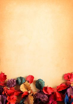 old paper background with dry flower