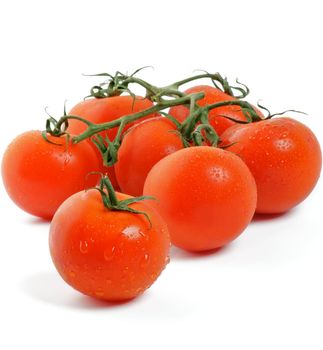 Tomatoes on twigs