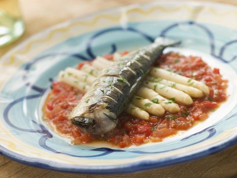 Grilled Sardines with White Asparagus and Roasted Red Pepper Sal