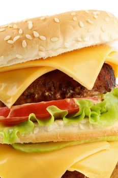 Tasty Cheeseburger closeup