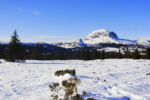 Norwegian winter landscape.