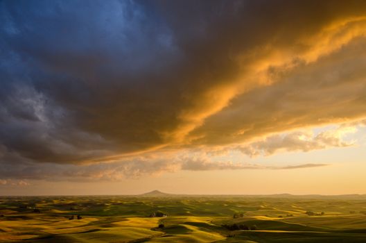 Steptoe Butte and rolling hills at sunset in summer, Whitman County, Washington, USA
