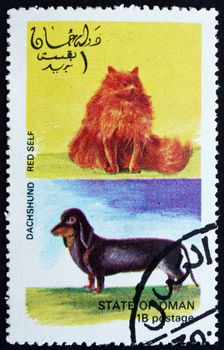 OMAN - CIRCA 1972: a stamp printed in the Oman shows Red Self Cat and Dachshund Dog, circa 1972