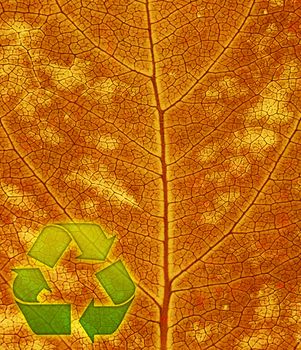 Recycle symbol on the leaf background
