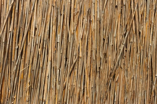 Fragment of reed fence