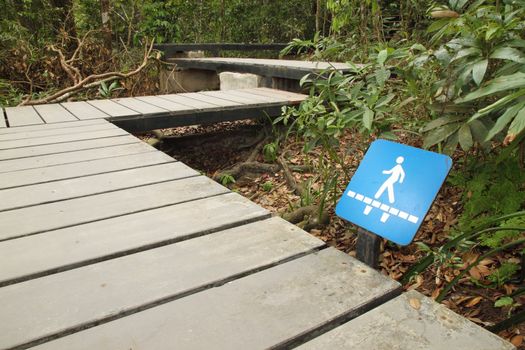 walkway sign with wooden boardwalk in forest