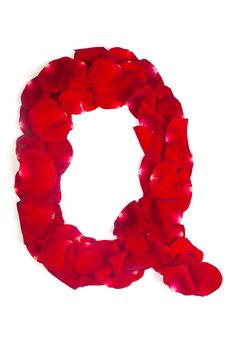 Letter Q made from red petals rose on white