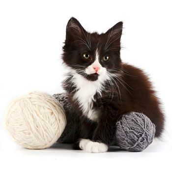 Black-and-white kitten with a woolen balls 