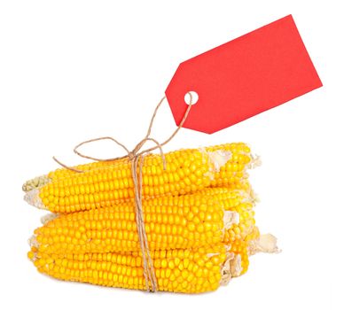An ear of corn with a tag