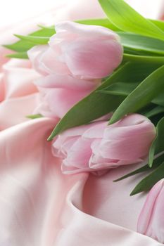 Beautiful Tulips And Silk 