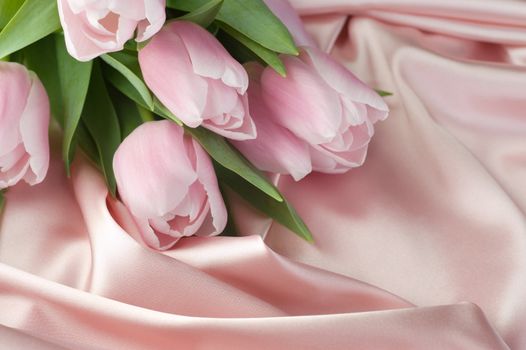 Beautiful Tulips And Silk