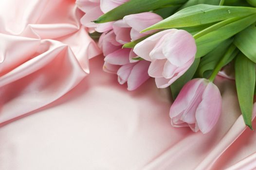 Beautiful Tulips And Silk. With Copy Space 