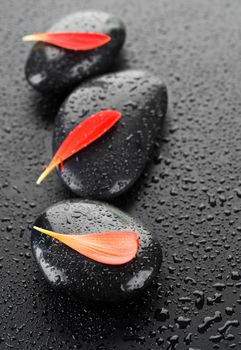 Zen Spa Stones Over Black