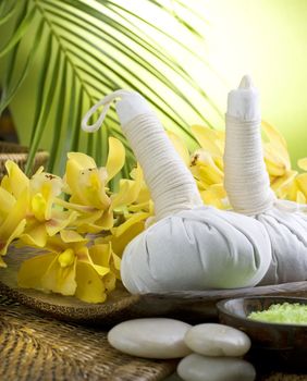 Spa Thai Massage