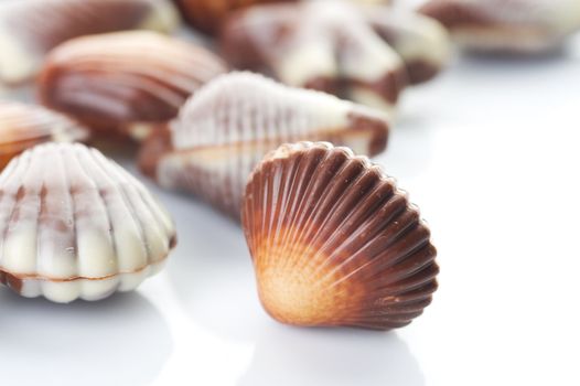 Chocolate Seashells. Selective Focus 