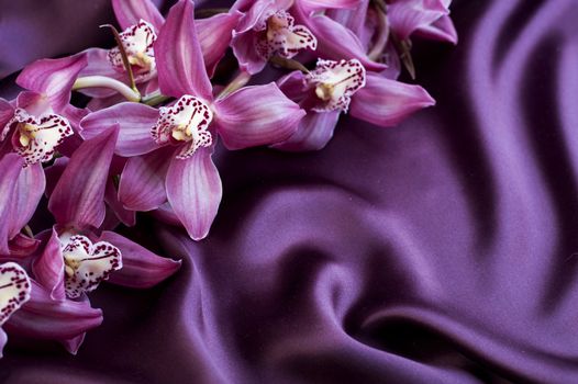 Silk and Orchid. With copyspace