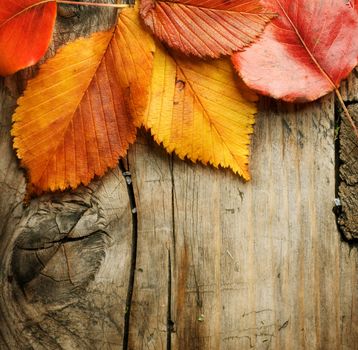 Autumn Leaves over wooden background. With copy space