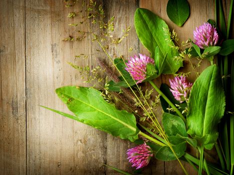 Herbs over Wood. Herbal Medicine. Herbal Background