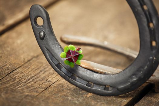 Horseshoe with lucky clover on a wooden background