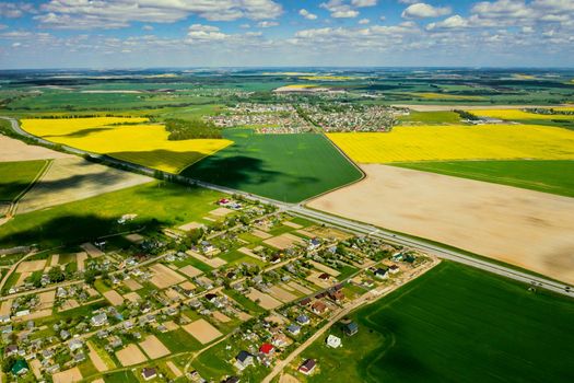 Top view of the yellow rapeseed field and the village. A sown field of rapeseed in Belarus.The village is a field of rapeseed
