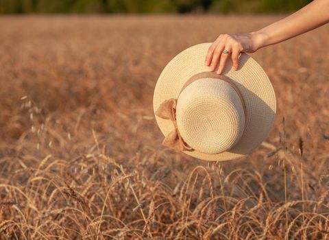 Young beautiful girl with long curly hair poses in a wheat field in the summer at sunset. A girl holds a hat in her hand against the background of a wheat field. The view from the back. Toning.