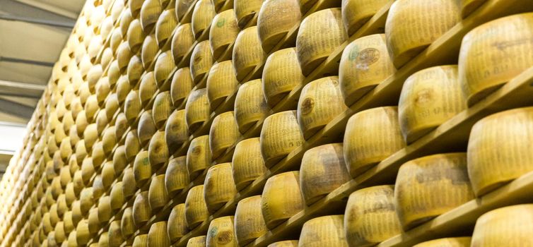 Parmigiano Cheese factory with the aging cheese