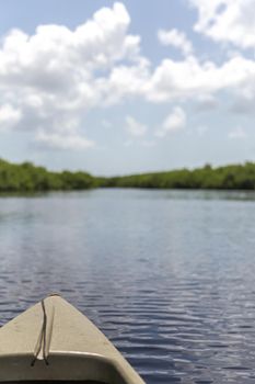 Kayaking in Everglades national park, USA