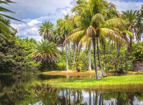 Fairchild tropical botanic garden, Miami, FL, USA