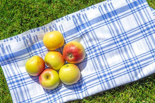 apples on a tablecloth on green grass in park