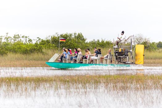 EVERGLADES, FLORIDA, USA - DECEMBER 8, 2016 : Airboat tour at mangrove forest in Everglades swamp