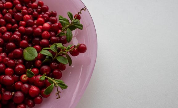 Ripe red cranberry berries and leaves in a pink plate on a white background. Place for your text