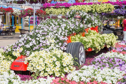 DUBAI, UAE - JANUARY 20: Miracle Garden in Dubai, on January 20, 2014, Dubai, UAE. Beautiful Miracle Garden with 45 million flowers.