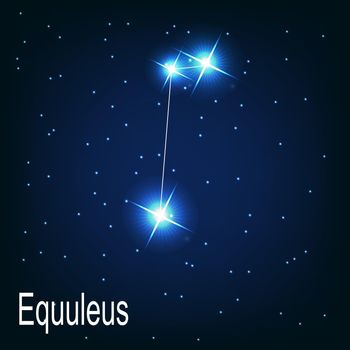 The constellation "Equuleus" star in the night sky. Vector illustration