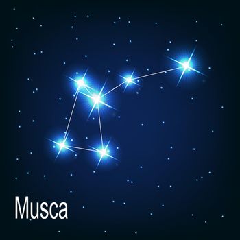 The constellation "Musca" star in the night sky. Vector illustration