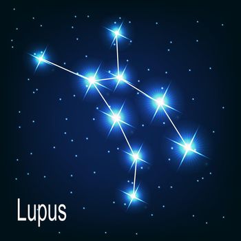 The constellation "Lupus" star in the night sky. Vector illustration